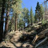 June Lake Loop Trail - California | AllTrails