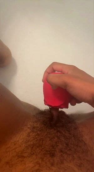 Twerk Ass Pussy Handjob Porn Spankbang