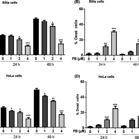 Effect Of Plumbagin Pb On Apoptotic Cell Death In Human Cervical