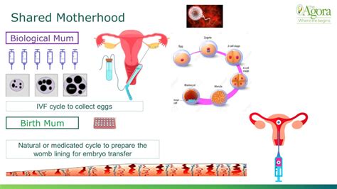 Time To Level Up And Stop Discrimination Against Same Sex Couples The