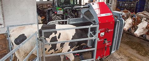 Купить станок для обрезки обработки копыт КРС Red Q (Rosensteiner ...