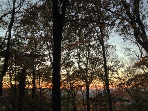 Monte Sano State Park And Land Trust Mountain Bike Trail In Huntsville