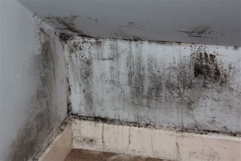 Smart sensors could eliminate mould, damp and mildew - Show House