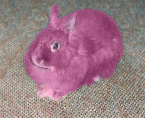Pink rabbit by the-weazle on DeviantArt