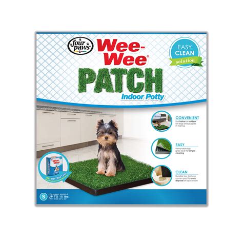 How Do You Train A Puppy To Wee And Poo Outside