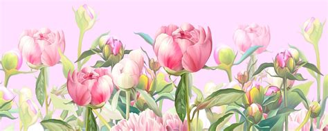 BotaniKa | цветы | декор | Магнитогорск | BotaniKa - магазин свежих ...