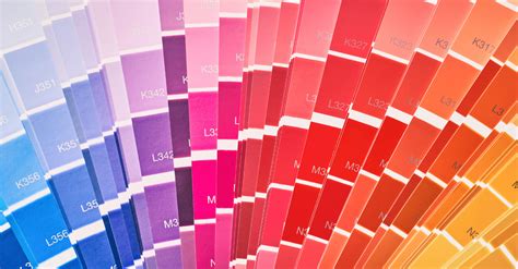 warm  cool undertones christy coleman