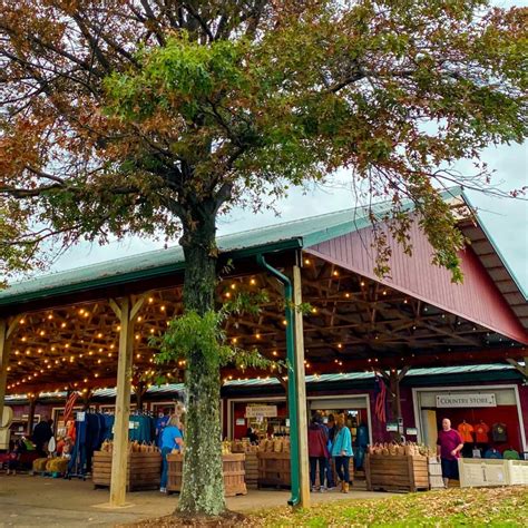 The Ultimate Guide to a Perfect Weekend in Charlottesville - Marissa Daily