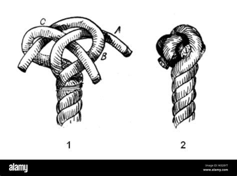 single crown  res stock photography  images alamy