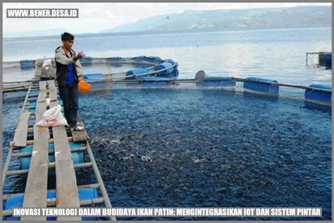 Inovasi Teknologi Dalam Budidaya Ikan Patin Mengintegrasikan IoT Dan