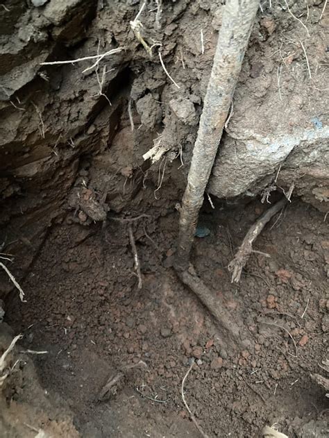 What is this mystery pipe? : r/Plumbing