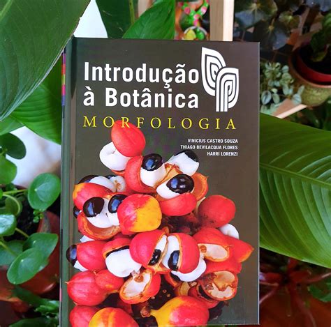 Introducao A Botanica - INTRODUÇÃO À BOTÂNICA: MORFOLOGIA | Botânica, Livros
