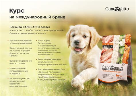 Корма для животных Canegatto | prezentacia.ru