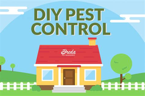 8 Steps For Do It Yourself Diy Pest Control Breda Pest Management