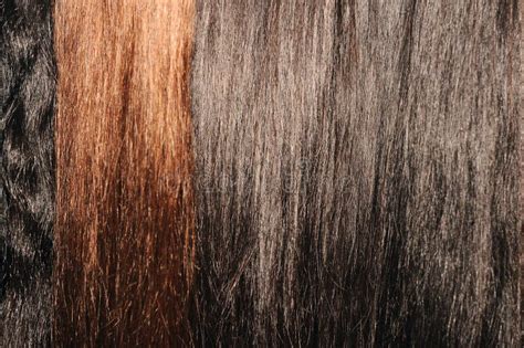 Cabello Femenino De Diferente Color En Todo El Fondo De La Vista Brunette De Pelo Rojo Pardo