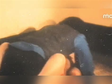 Bangla Movie Hot Scene