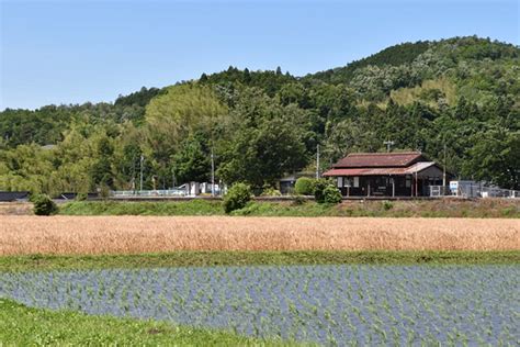 美作滝尾駅と小麦畑と水田と。 | タイトル(title):美作滝尾駅と小麦畑と水田と。182 撮影者：津山市 撮影年月日… | Flickr