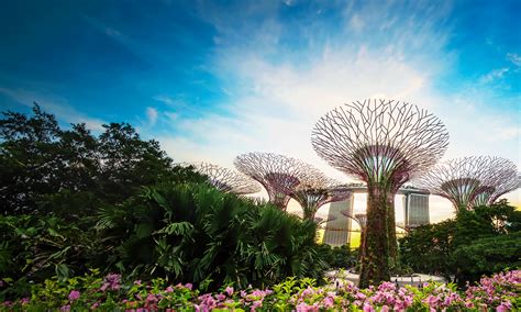 tax exemption scheme  singapore