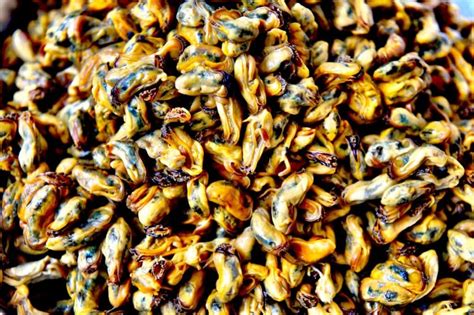 Pangastrite Enantematosa Leve Sintomas