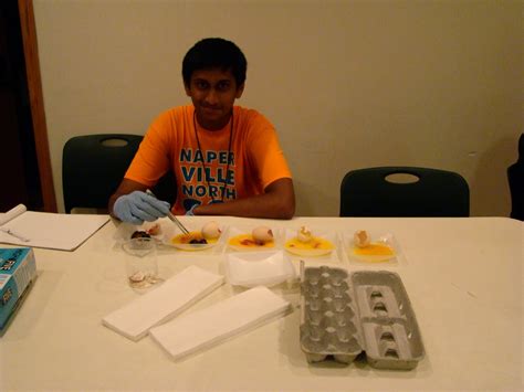 Pathogens And Passageways Embryology Lab