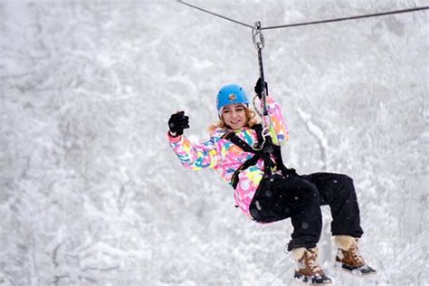 Tripadvisor Zipline Abenteuer in Mont Tremblant zur Verfügung