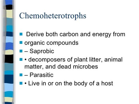 Metabolism c