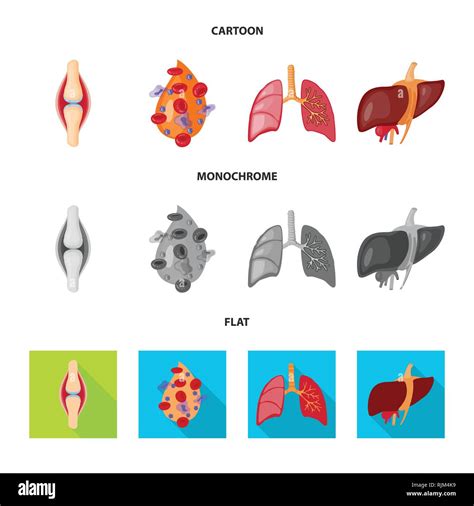 Vector Design Of Biology And Scientific Symbol Set Of Biology And