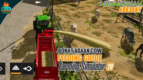 How To Feed Cow Farming Simulator Fs Cow Guide Youtube