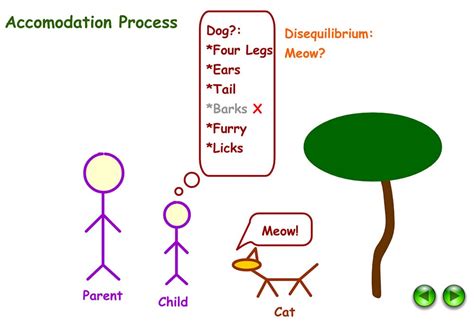 Accommodation And Assimilation In Psychology