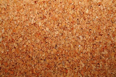Cork Biology Simple