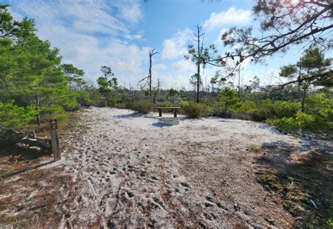 Wilderness Preserve | Florida State Parks