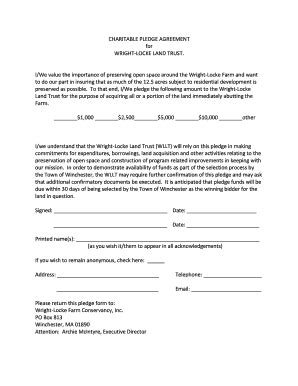 Fillable Online Charitable Pledge Agreement For Wright Locke Land