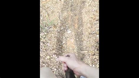 ワイルドなヌード Pornhub Gay