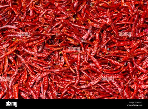 Dried Chili Peppers Stock Photo Alamy
