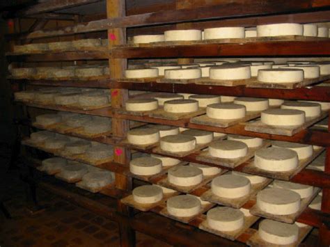 FROMAGERIE DE LA CHAPELLE ST JEAN à GRÉMÉVILLERS Collège Culinaire de