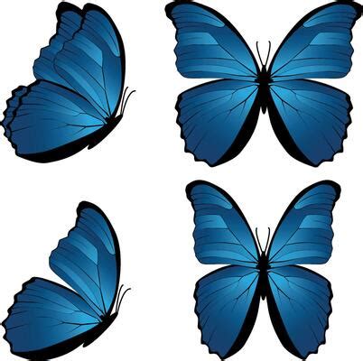 Blue Butterfly Vector Art, Icons, and Graphics for Free Download
