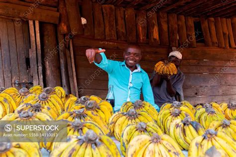 Africa Malawi Lilongwe District Banana Market SuperStock