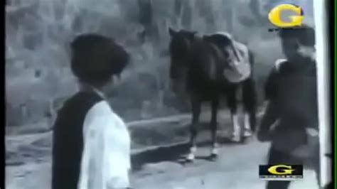 Naranja Videos XVIDEOS