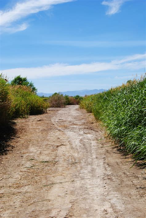 catalog path      catalog path stock