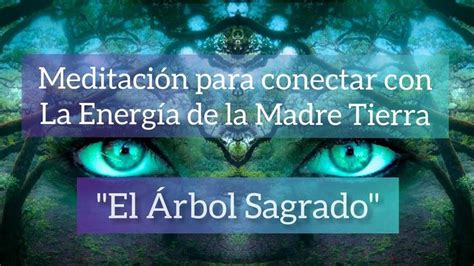 Meditaci N Para Conectar Con La Energ A De La Madre Tierra El Rbol