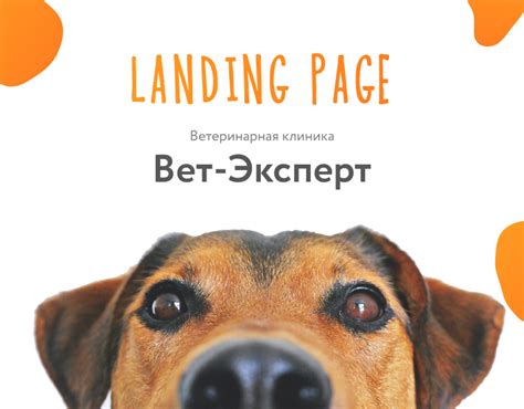 Landing page / Vet clinic / Ветеринарная клиника :: Behance