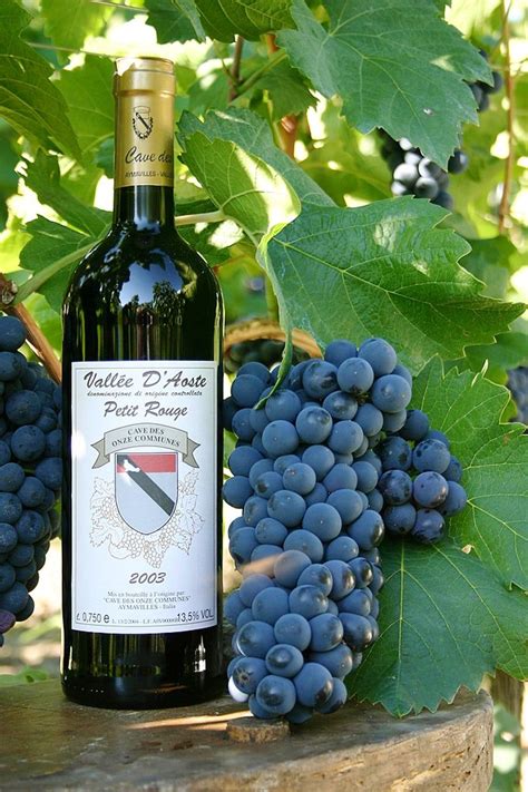 On the wine paths of Italy: Aosta in 2021 | Wine, Fruit wine, Wine and ...
