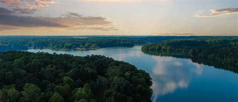 lithia springs fogelman