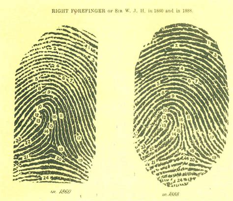 Fingerprints Images