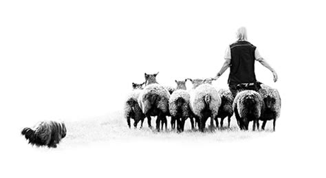 vallning windtailsse