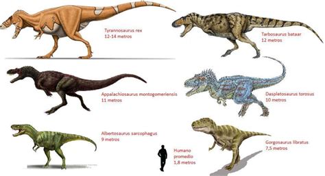 Dinosaurios Carnívoros Nombres Y Características Extinct Animals