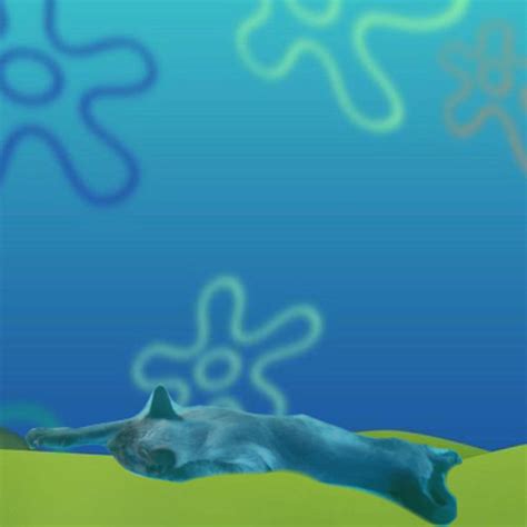 Stream BIKINI BOTTOM With Spongebob Patrick And Squidward By MEEPY SAUE Listen Online For