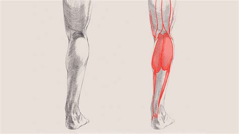 How To Draw Legs Creative Bloq