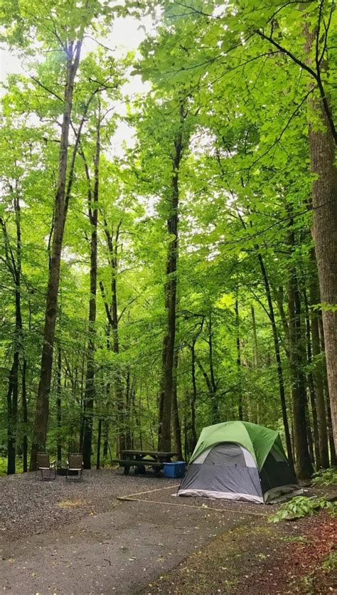 Campers Share Their 9 Favorite Campgrounds in North Carolina