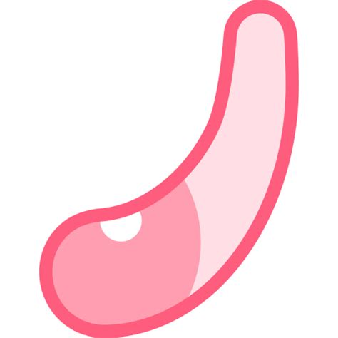 Dildo Detailed Color Lineal Color Icon